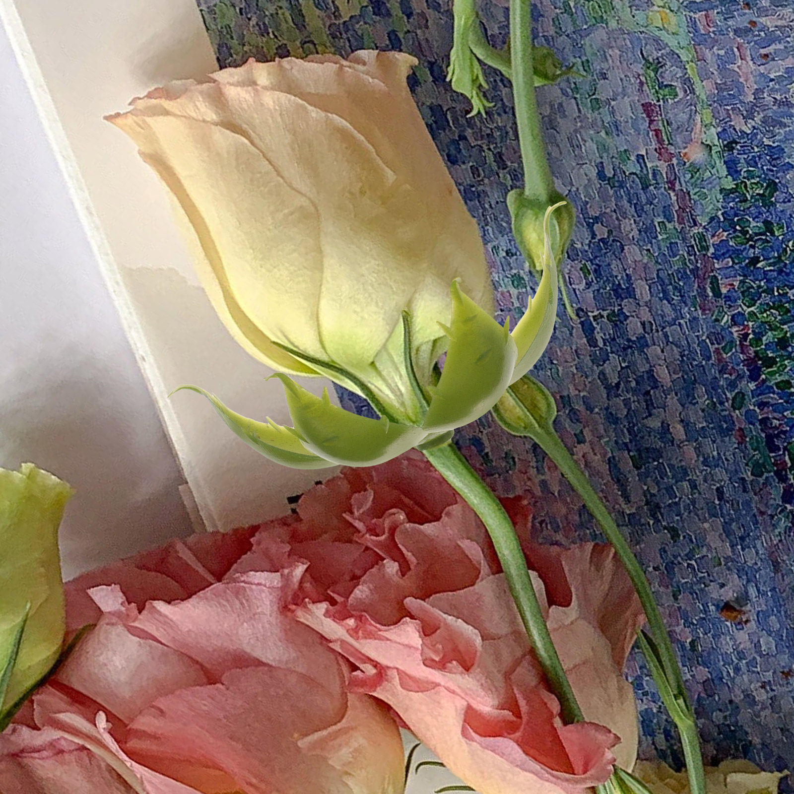 50pcs Artificial Rose Calyxes  - Soap Making Ins 评论和价格