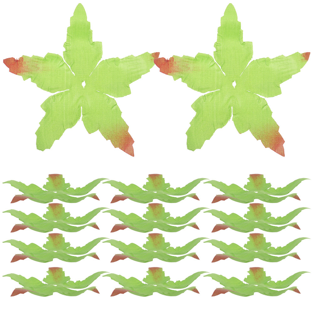 60Pcs DIY Sepals Materials Fab - Soap Making Ins 评论和价格